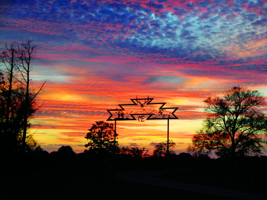 Sunset at the Merit ranch